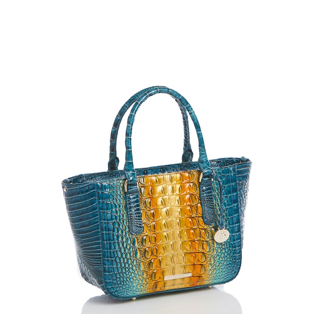 Brahmin Small Ashlee Bermuda Ombre Melbourne