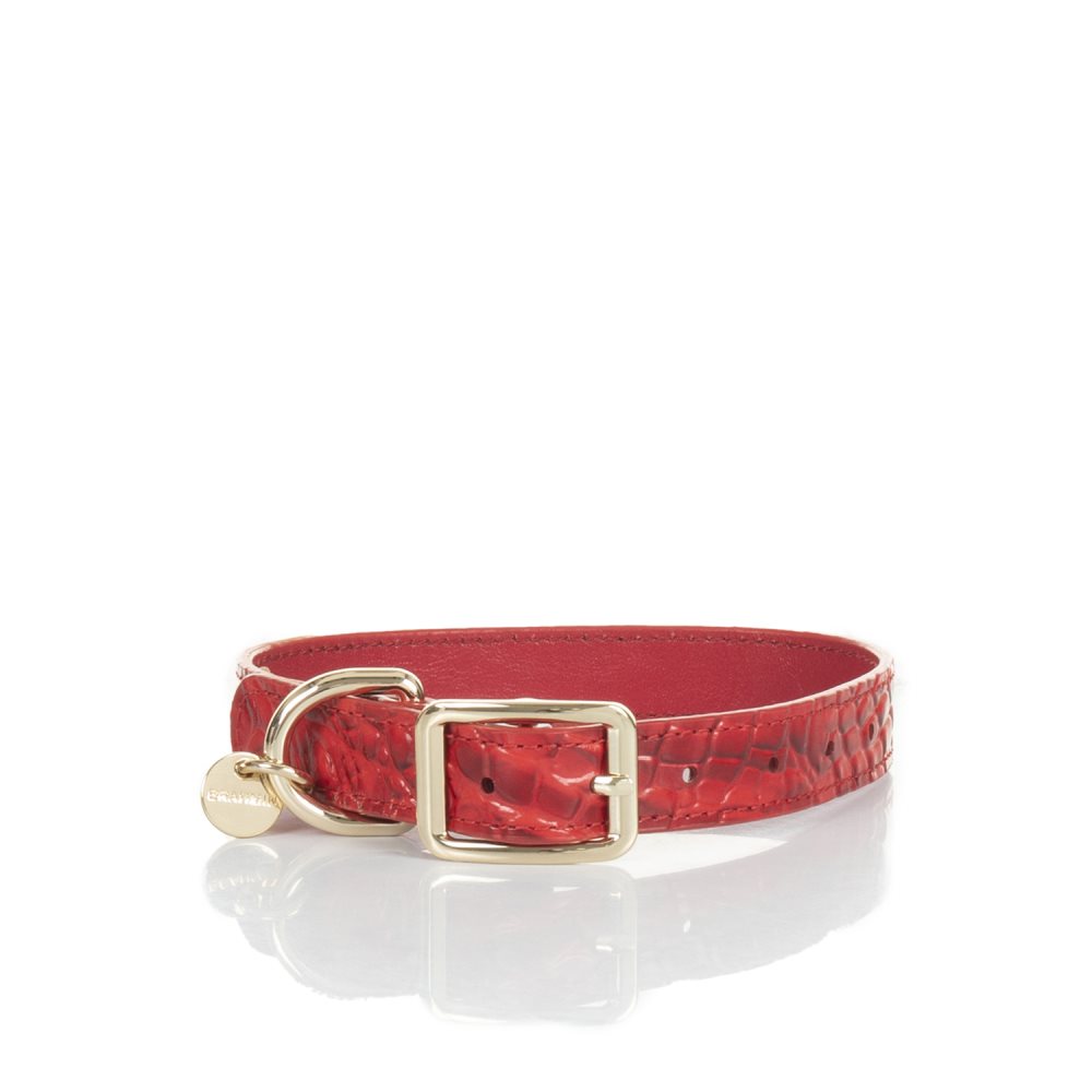 Brahmin Medium Pet Collar Carnation Melbourne