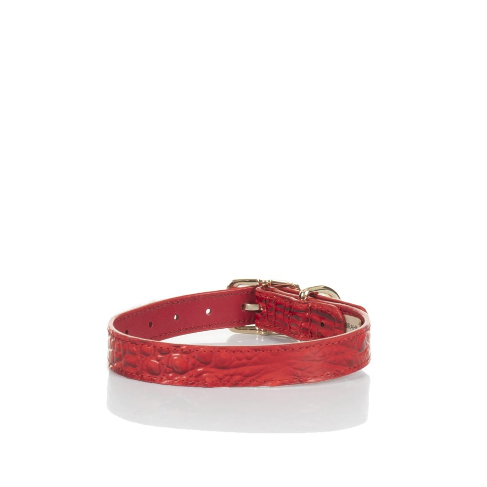 Brahmin Medium Pet Collar Carnation Melbourne