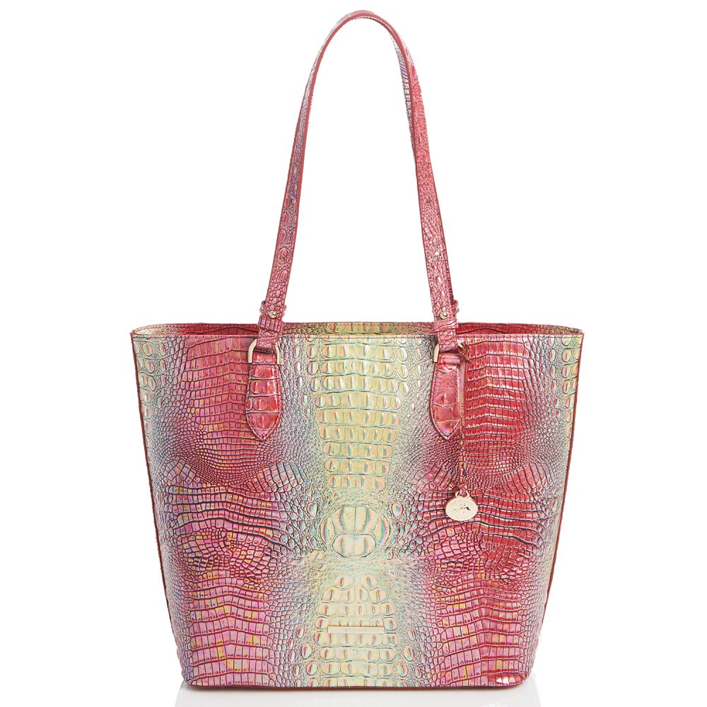 Brahmin Ellen Dragonfruit Ombre Mini Melbourne