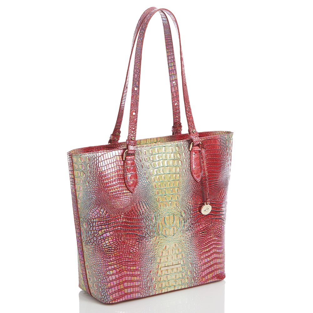 Brahmin Ellen Dragonfruit Ombre Mini Melbourne