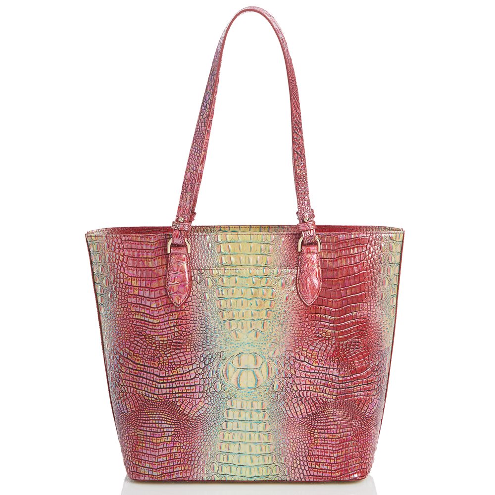 Brahmin Ellen Dragonfruit Ombre Mini Melbourne