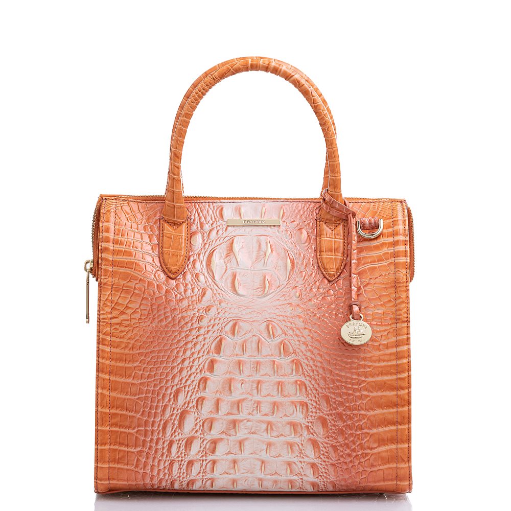 Brahmin Caroline Sherbert Ombre Melbourne