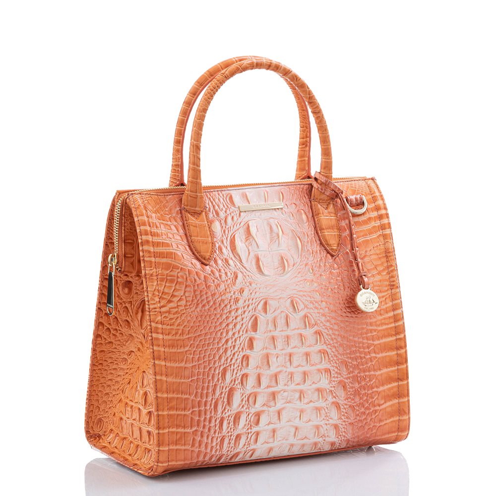 Brahmin Caroline Sherbert Ombre Melbourne