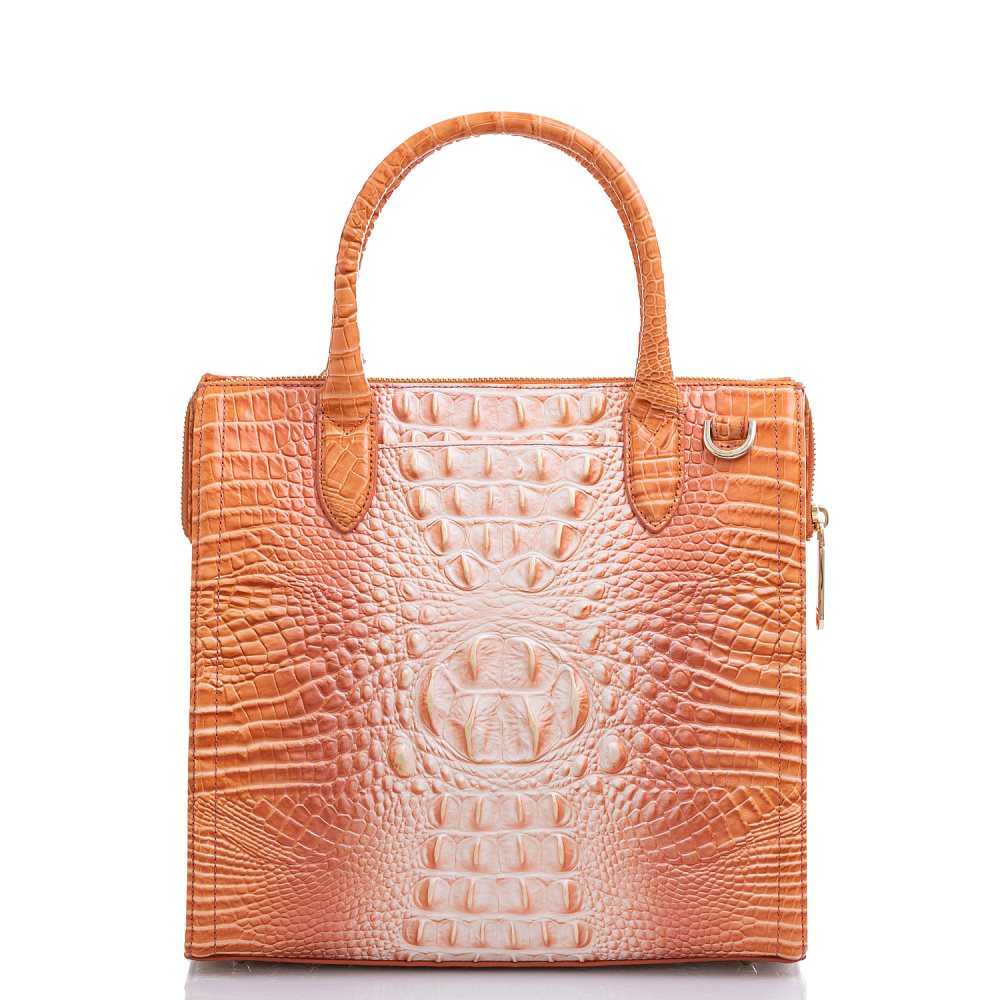 Brahmin Caroline Sherbert Ombre Melbourne