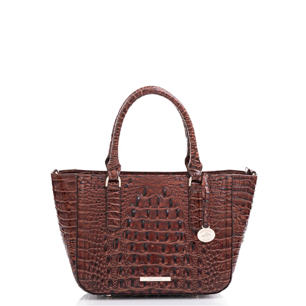 Brahmin Small Ashlee Pecan Melbourne