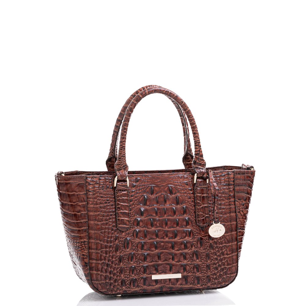 Brahmin Small Ashlee Pecan Melbourne