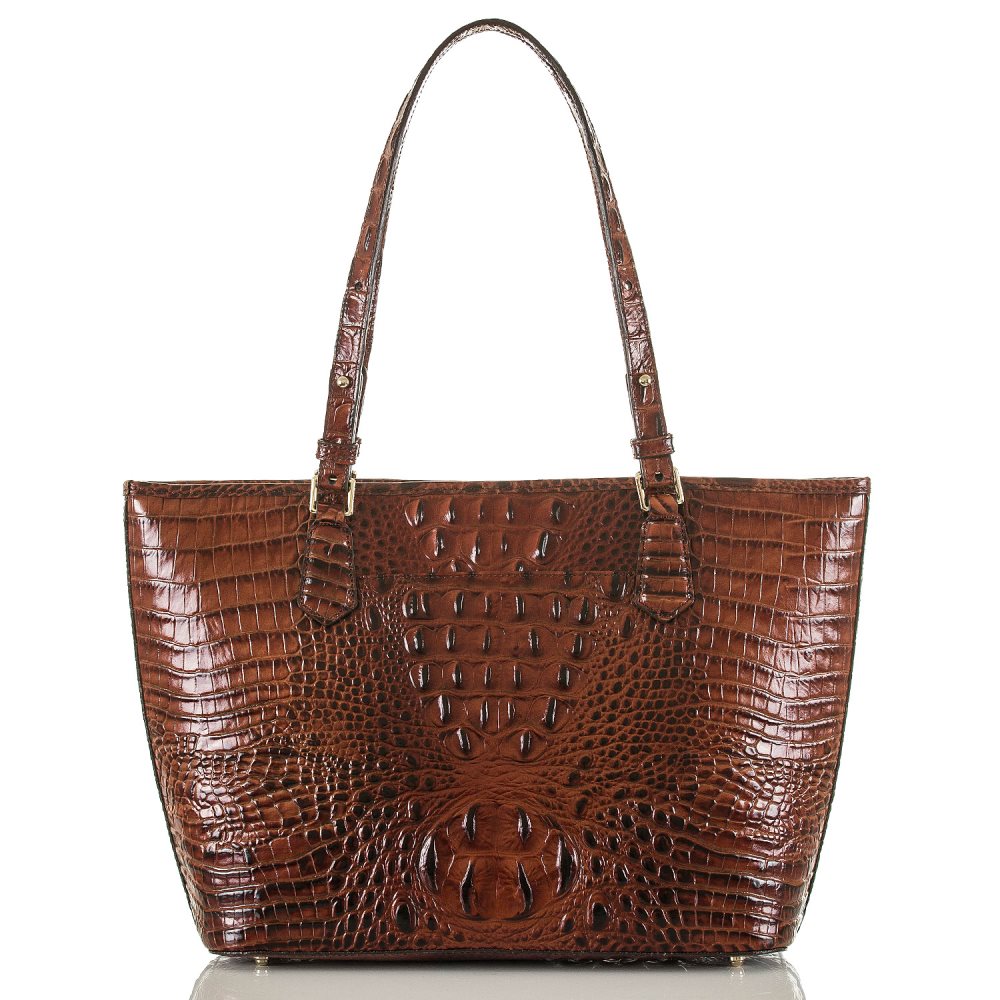 Brahmin Medium Asher Tote Handbag | Pecan Melbourne