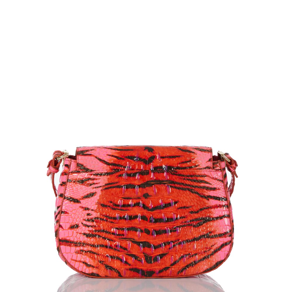 Brahmin Small Nadine Pink Feline Ombre Melbourne