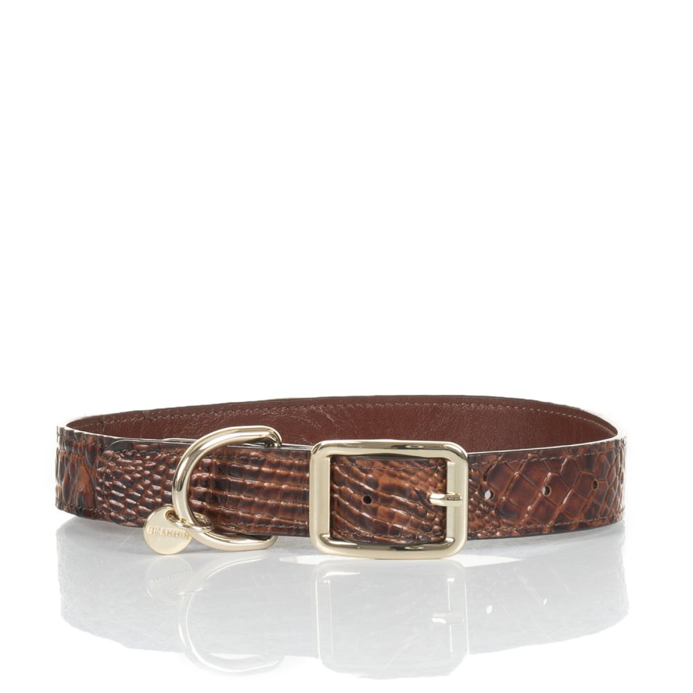 Brahmin Large Brown Leather Dog Collar | Pecan Melbourne