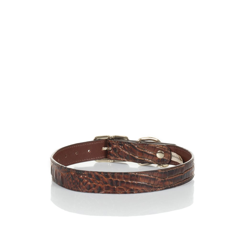 Brahmin Large Brown Leather Dog Collar | Pecan Melbourne